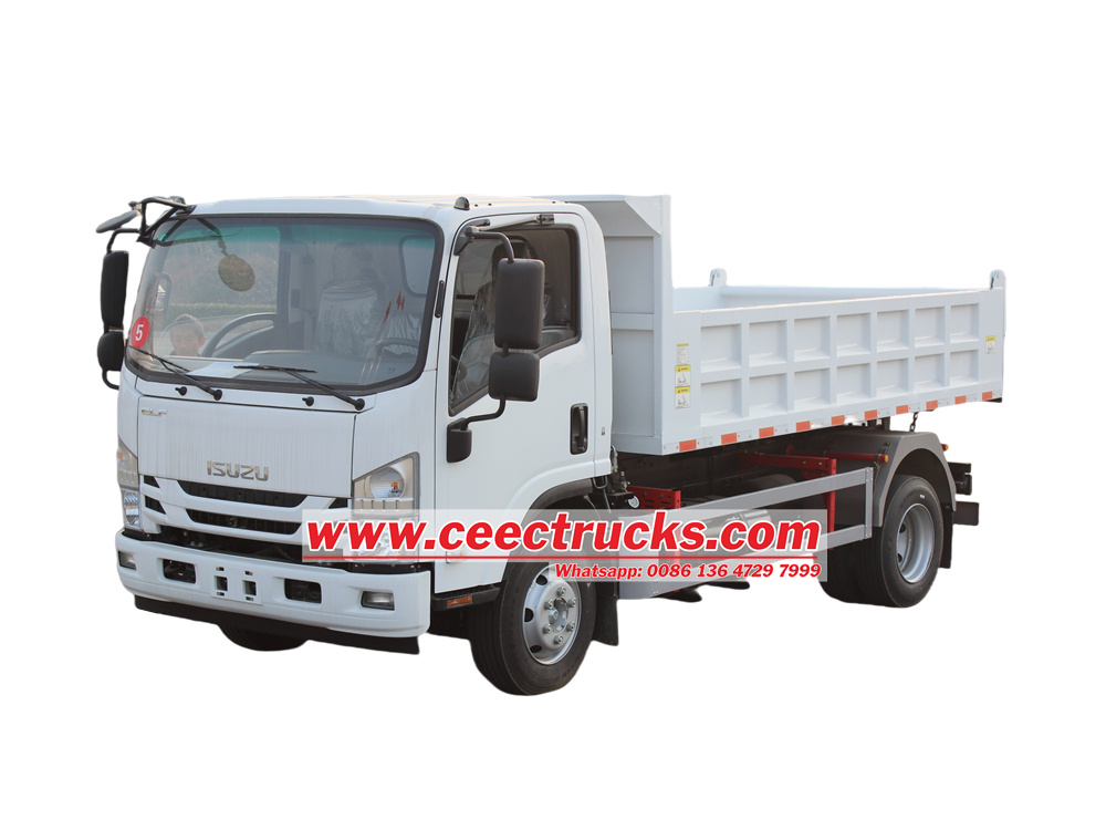 Philippine Isuzu 6 wheeler engine dump truck