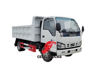 NKR 4x2 Dump Truck 6.5 cbm by Isuzu