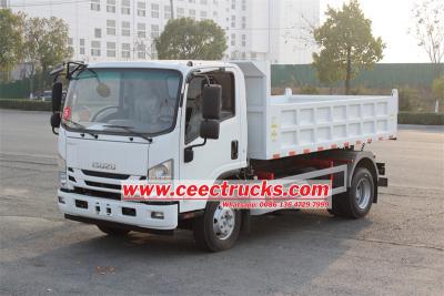 Philippine Isuzu NQR light dump truck