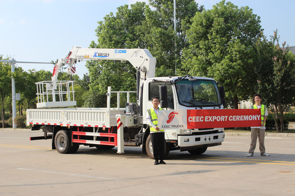 Sierra Leone customer customized one ISUZU NPR truck mounted crane